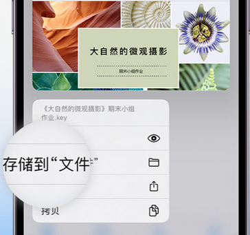 稻城apple维修中心分享iPhone文件应用中存储和找到下载文件