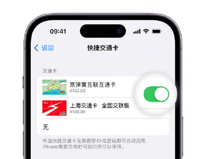 稻城apple维修点分享iPhone上更换Apple Pay快捷交通卡手绘卡面 