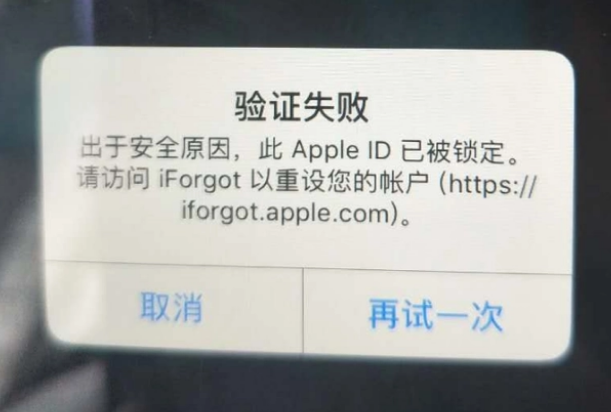 稻城iPhone维修分享iPhone上正常登录或使用AppleID怎么办 