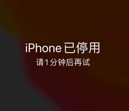 稻城苹果手机维修分享:iPhone 显示“不可用”或“已停用”怎么办？还能保留数据吗？ 