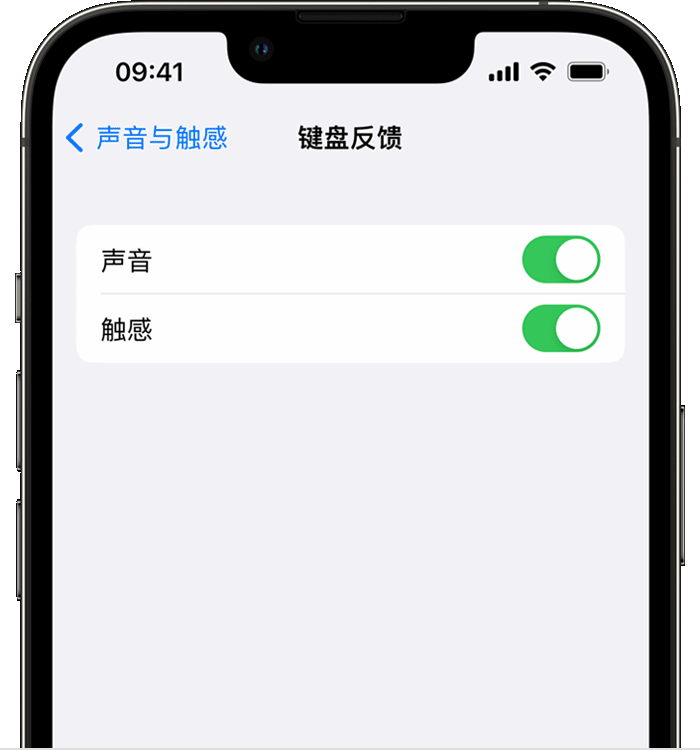 稻城苹果14维修店分享如何在 iPhone 14 机型中使用触感键盘 