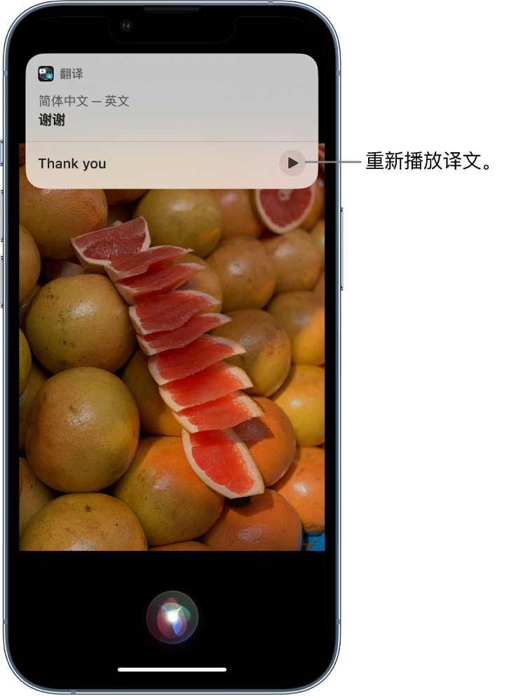 稻城苹果14维修分享 iPhone 14 机型中使用 Siri：了解 Siri 能帮你做什么 