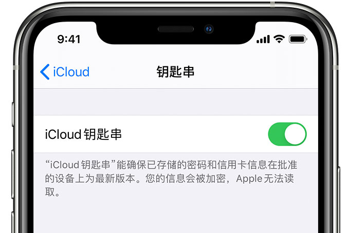 稻城苹果手机维修分享在 iPhone 上开启 iCloud 钥匙串之后会储存哪些信息 