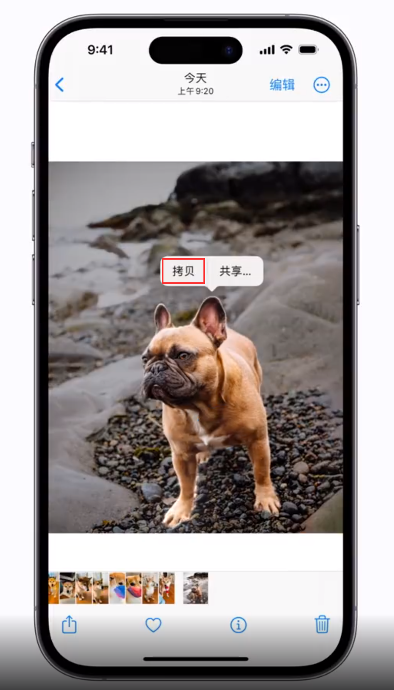 稻城苹果手机维修分享 iOS 16 自带一键抠图功能 