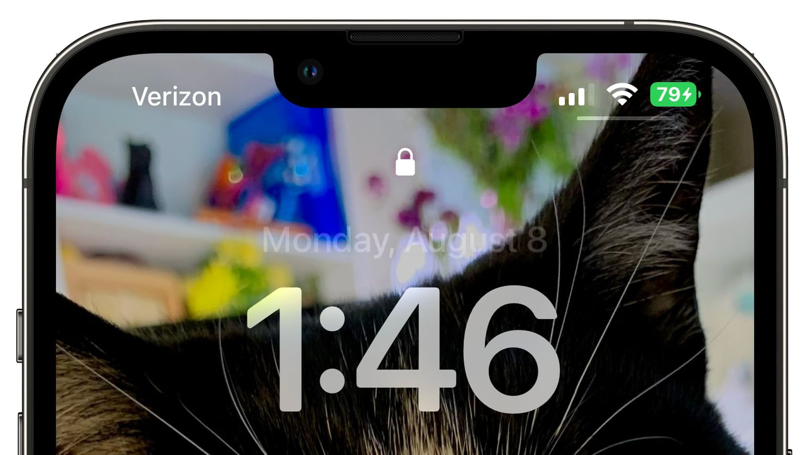 稻城苹果手机维修分享iOS 16 beta 5 支持状态栏显示电池百分比，如何开启？支持哪些机型 