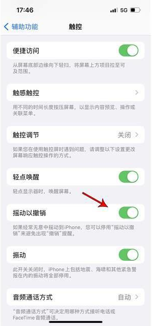 稻城苹果手机维修分享iPhone手机如何设置摇一摇删除文字 