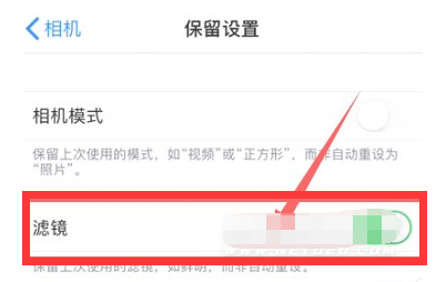 稻城苹果13维修分享iPhone13拍照有绿点是怎么回事 
