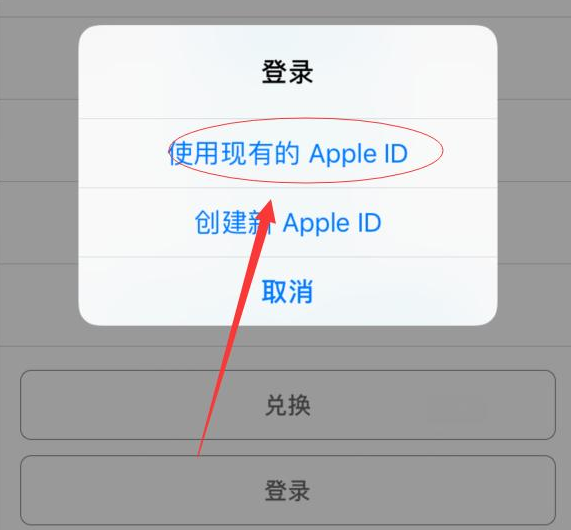 稻城苹果手机维修分享两台iPhone设备可以同时登录一个Apple ID吗 