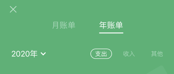稻城苹果手机维修分享如何在 iPhone 上查看支付宝和微信年支出账单 